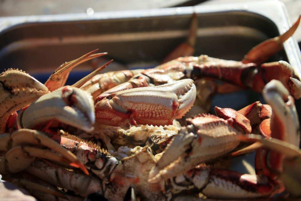 Oregon Coast Fresh Seafood & Crab