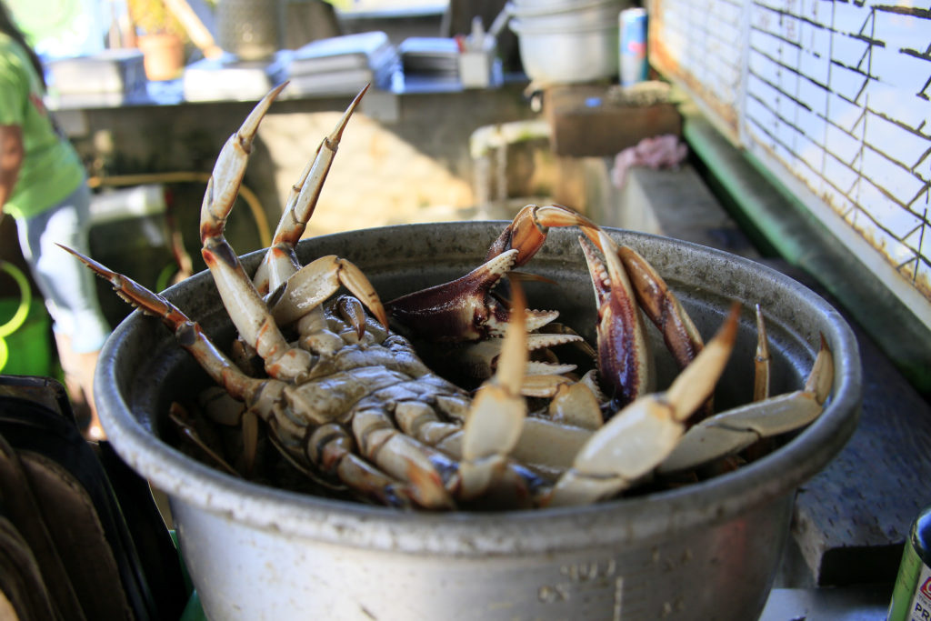 Oregon Coast Dungeness Crab & Seafood